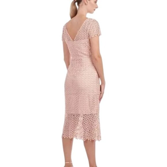 NWT Kay Unger New York Size 10 Lace Overlay Dress Blush Pink Polyester Blend - Picture 10 of 16